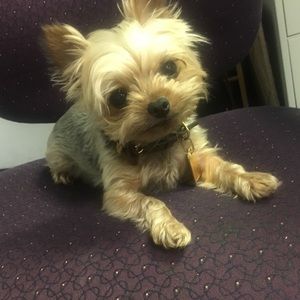 Meet your Posher, Mack